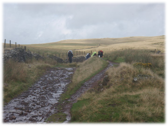 A group of people walking on a path in a grassy area

Description automatically generated with low confidence